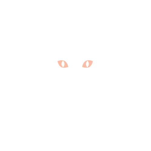 TüyTüy Pet Store